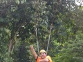 Tn DSC 4303